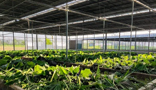 活动策划执行中视频剪辑的痛点及优化方向