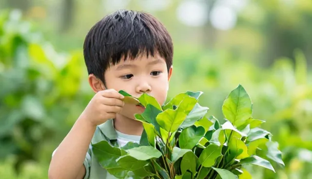 广告设计如何提升用户互动？